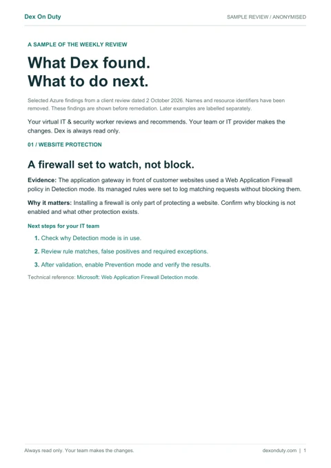 First page of the downloadable Dex sample review